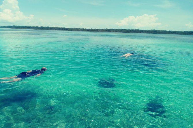 Blue hole, drift snorkeling, turtles Celebration Key is welcome - Drift Snorkeling Wildlife Tour: Float, Look, and Let the Ocean Do the Work
