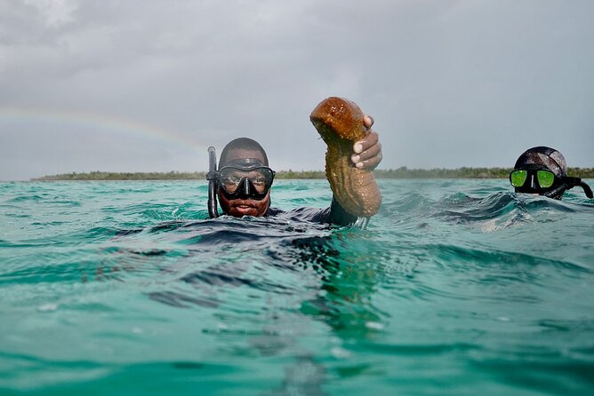 Blue hole, drift snorkeling, turtles Celebration Key is welcome - Price and Value: Is $121 Worth It, Plus the Boat Fee?
