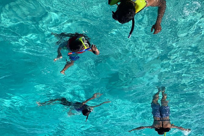 Bluefinn242 Swim with the Turtles in Nassau Bahamas - Quick highlights
