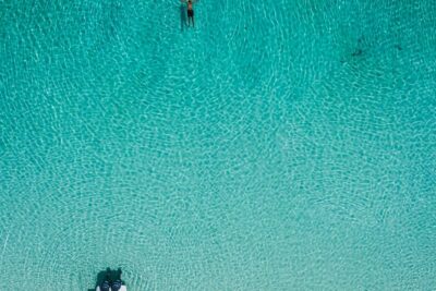 Bluefinn242 Swim with the Turtles in Nassau Bahamas