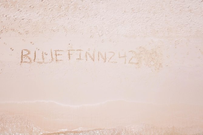 Bluefinn242 Swim with the Turtles in Nassau Bahamas - What the crew does besides point turtles out