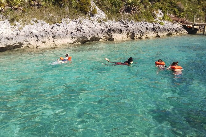 Catamaran Snorkel & Beach Day with Turtles - Green Cay Sanctuary Turtle Spotting in a Natural Habitat