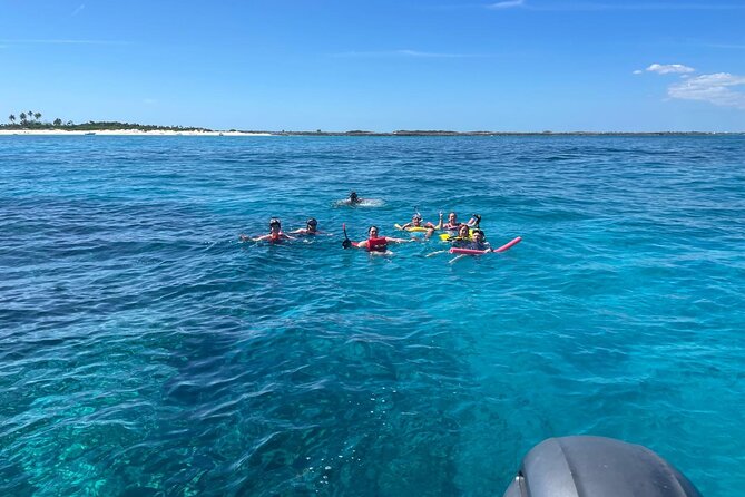 Catamaran Snorkel & Beach Day with Turtles - Atholl Island Snorkeling: 30 Minutes, Gear Included, Guided Reef Time