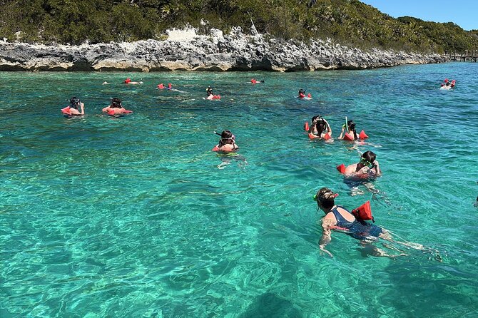 Catamaran Snorkel & Beach Day with Turtles - Price and Value: Is $110 Worth It?