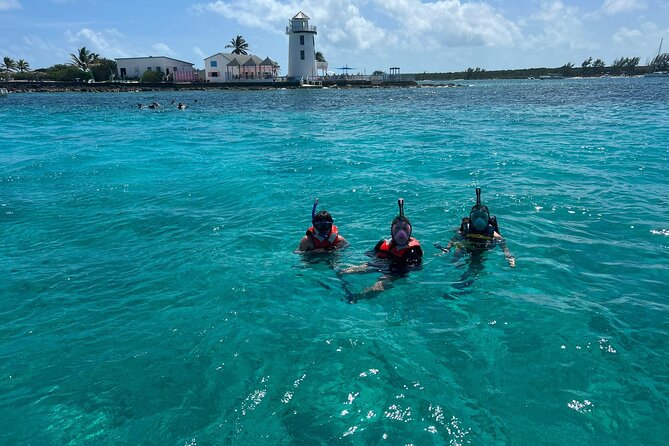 Catamaran Snorkel & Beach Day with Turtles - Nassau Harbor Tour: Your First Look at the Waterfront