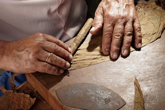 Cigar Rolling Lesson in Nassau - Key Highlights You Can Plan Around