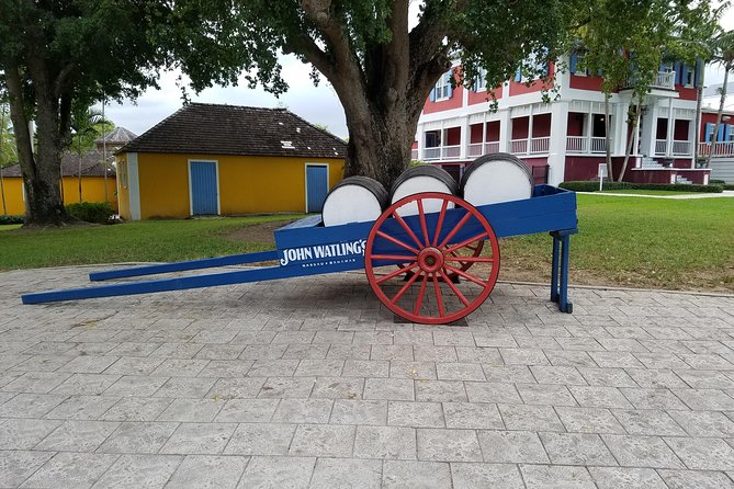 City Sight Seeing with Wine, Rum Cake and Conch Fritter Samples - What you should bring to get the best experience