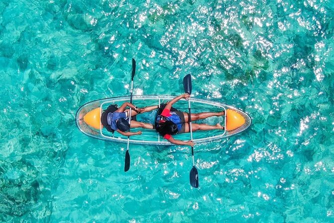 Clear Kayak Tour - Key Points That Make This Tour Worth Considering