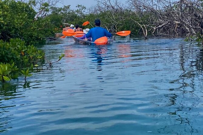 Clear Kayak Tour - Before You Paddle: Safety Briefing and Clear Kayak Basics