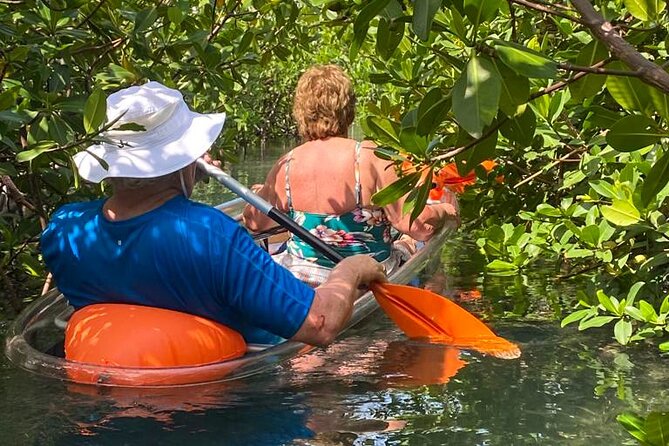 Clear Kayak Tour - Beach Break and Lunch: Plan for Swimwear and Towel Time
