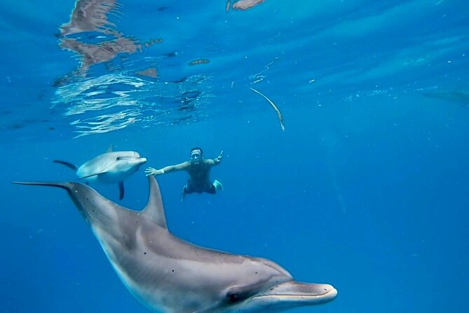 Create-Your-Own Luxury Adventure in Bimini with photographer - Key highlights you will feel right away