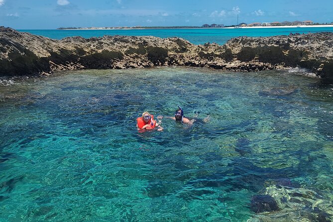 Create-Your-Own Luxury Adventure in Bimini with photographer - Bimini dolphins, but with a human touch and a photographer