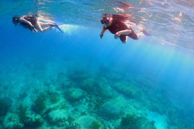 Create-Your-Own Luxury Adventure in Bimini with photographer - Getting on the water: a small-group dolphin search around North Bimini