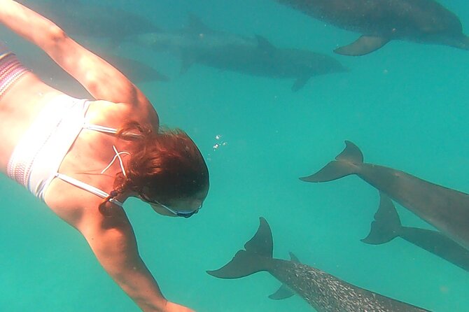 Create-Your-Own Luxury Adventure in Bimini with photographer - Who this is perfect for