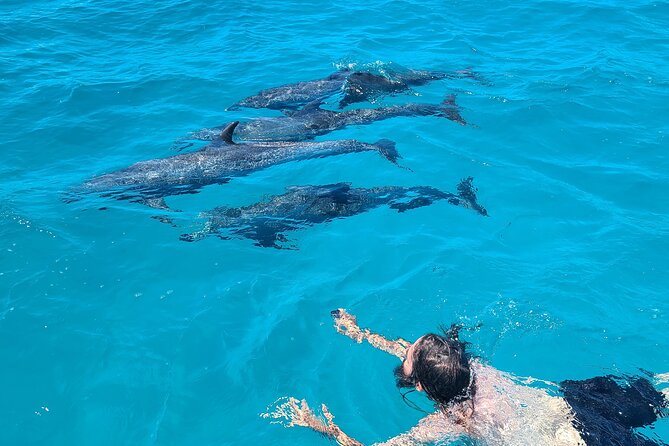 Create-Your-Own Luxury Adventure in Bimini with photographer - Where the day starts: Dolphin House Museum in Alice Town