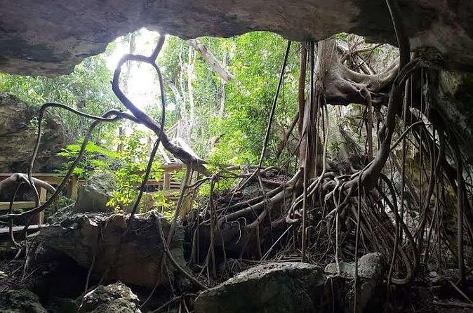 East End Private Day Trip Experience Tour - Lucayan National Park Boat Tour and Gold Rock Beach Lunch