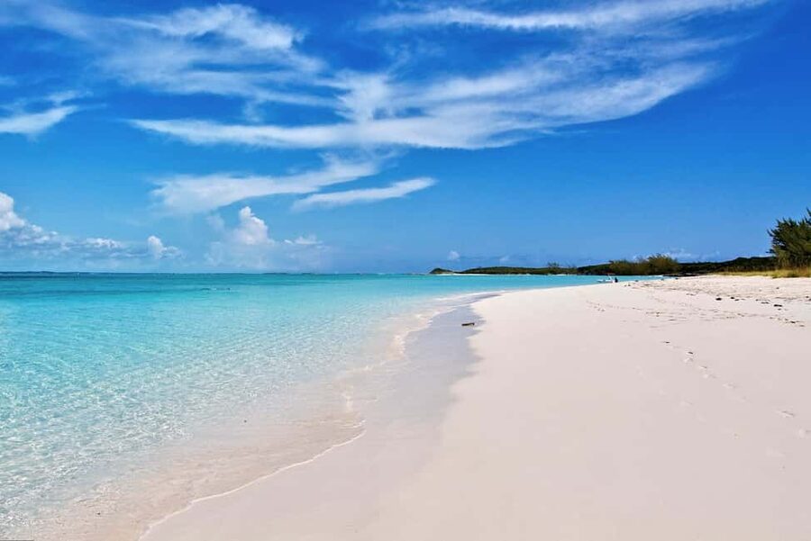 Exclusive Fly-In Premium Beach Experience from Nassau - Pig Beach at Big Major Cay, Swimming With the Stars