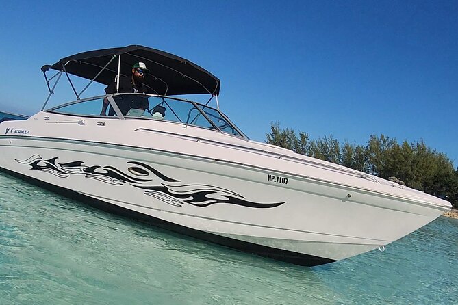 Exotic half day private charters to Rose Island, Pigs and Turtles - Rose Island Time: Snorkeling, Beach Breaks, and the Pig Swim Add-On