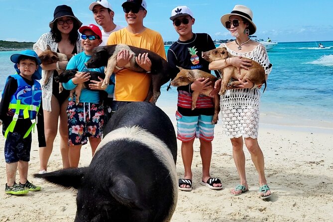Exotic half day private charters to Rose Island, Pigs and Turtles - Harbor Views and Celebrity-Home Scenery, without the Full-Day Hassle