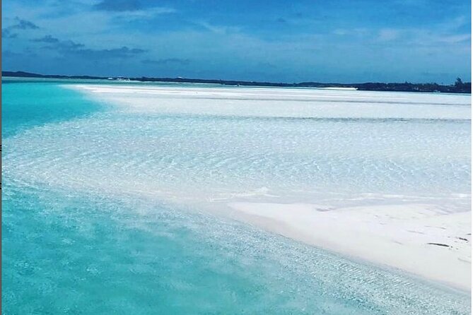 Experience The Exumas and the World Famous Swimming Pigs - Compass Cay and nurse sharks: friendly animals, short timing, big payoff