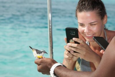 Experience The Exumas and the World Famous Swimming Pigs