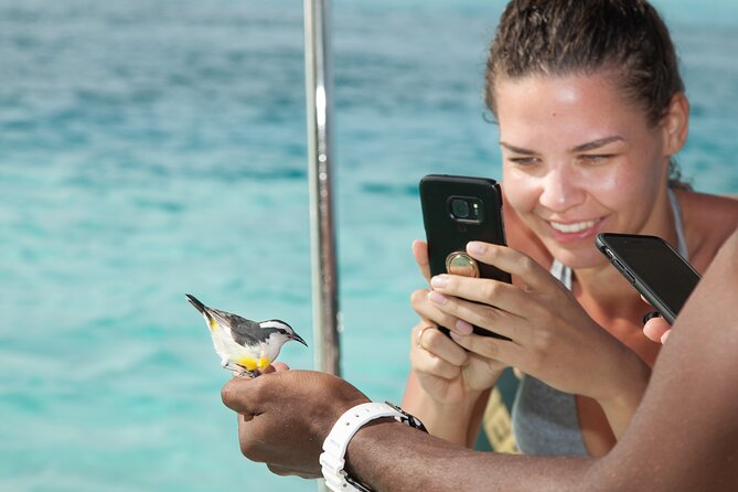 Experience The Exumas and the World Famous Swimming Pigs - Pig Beach with the swimming pigs: what 45 minutes feels like