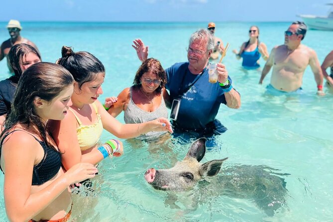 Exuma Day Away - Original Swimming Pigs Excursion - Key tour highlights worth your attention