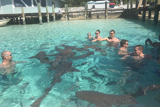Exuma Day Away - Original Swimming Pigs Excursion - Why the Exumas feel like a different planet from Nassau