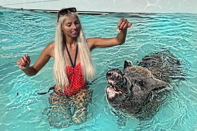 Exuma Day Away - Original Swimming Pigs Excursion - Meeting at Montagu Beach and how the day really runs