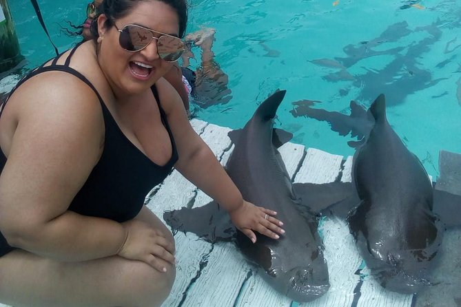 Exuma Day Away - Original Swimming Pigs Excursion - Great Guana Cay: rock iguanas, feeding, and a quick nature stop