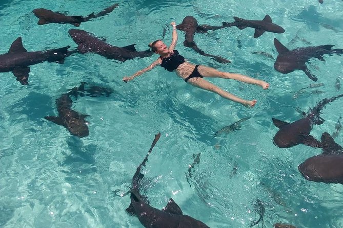 Exuma Day Away - Original Swimming Pigs Excursion - Exuma Cays Land and Sea Park: shifting sandbars at low tide