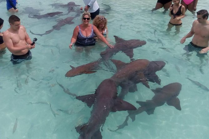 Exuma Day Away - Original Swimming Pigs Excursion - The sunken plane wreck near Norman’s Cay: Pablo Escobar’s airplane