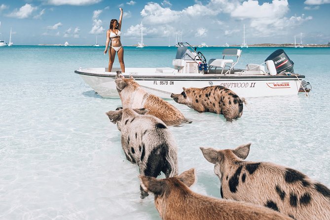 Exuma Elite Escape: Luxury Fly-In Pig Beach Adventure - 7 Stops - Key things I’d circle before you go