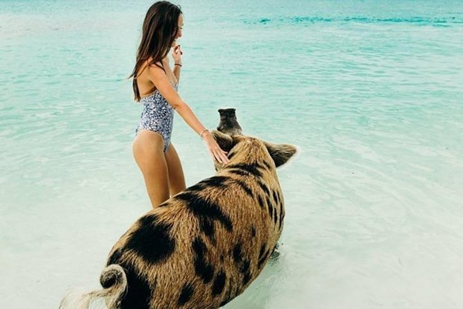Exuma Elite Escape: Luxury Fly-In Pig Beach Adventure - 7 Stops - A half-day Exumas plan that actually fits a schedule