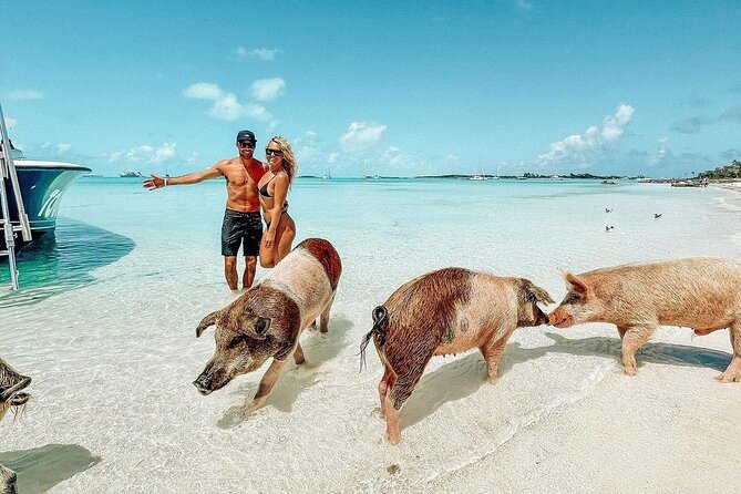 Exuma Full Day Swimming Pigs Group Boat Tour - Key highlights worth circling
