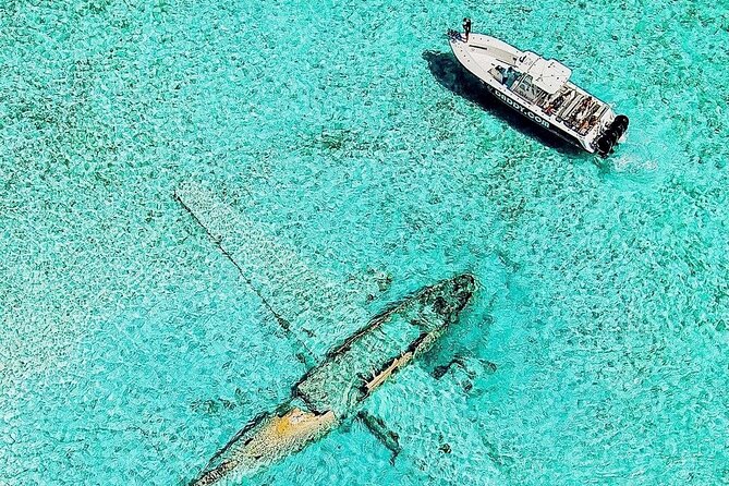 Exuma Full Day Swimming Pigs Group Boat Tour - Why this Exuma swimming pigs tour fits a Nassau full-day plan