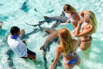 Exuma Full Day Swimming Pigs Group Boat Tour