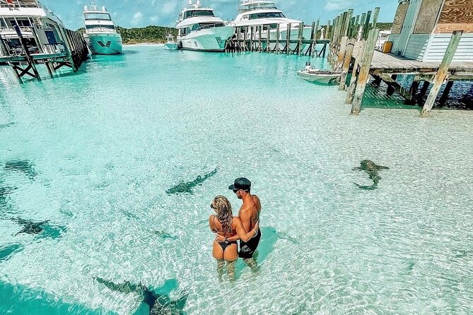 Exuma Full Day Swimming Pigs Group Boat Tour - Stop 2, Compass Cay: swimming with nurse sharks