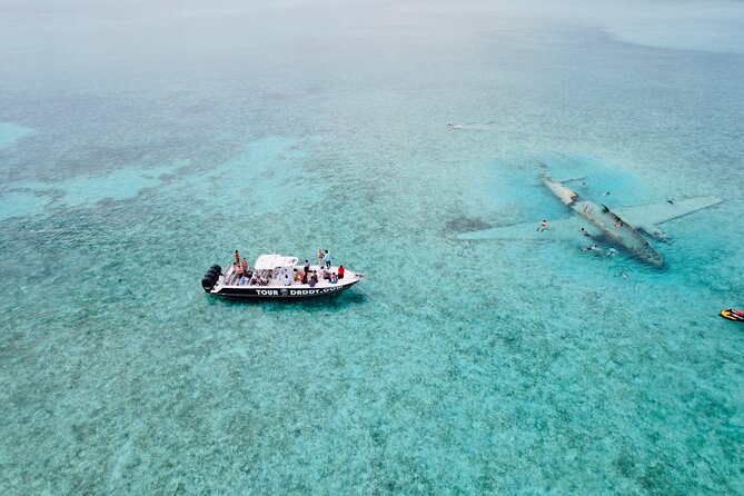 Exuma Full Day Swimming Pigs Group Boat Tour - Stop 3, Pig Beach: swimming pigs plus free-roaming pig time