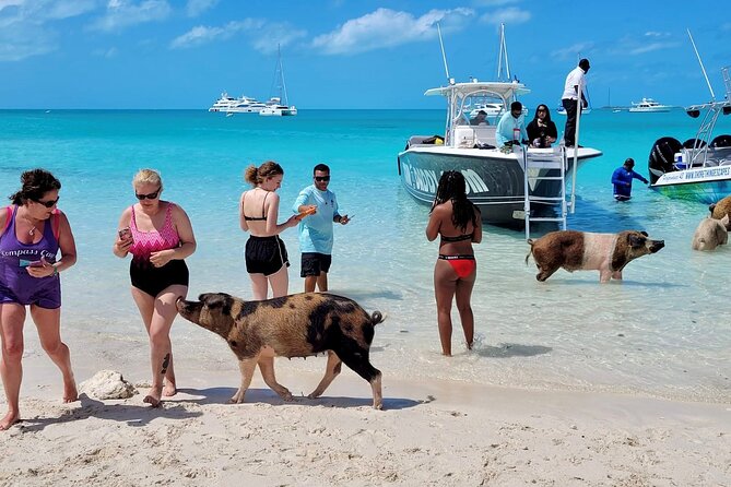 Exuma Full Day Swimming Pigs Group Boat Tour - Pablo Escobar plane wreck: an underwater history-style sight on the way to the sandbar