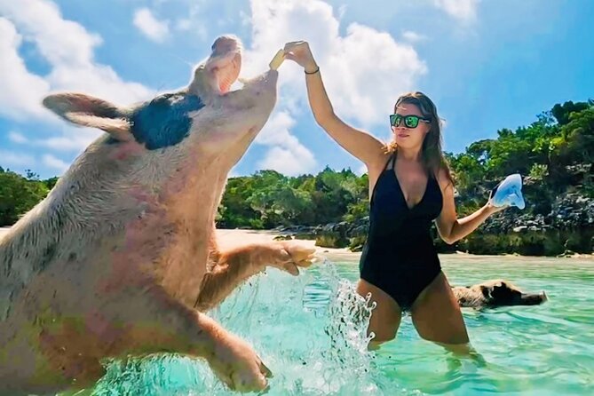 Exuma Island and Cays Tour - Compass Cay nurse sharks and the $15 per person fee