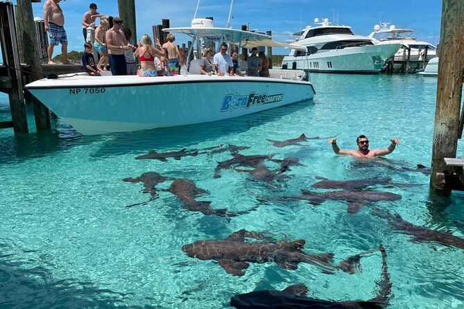Exuma Island Hopping Swimming Pigs Tour with Lunch from Nassau - Key highlights you can count on