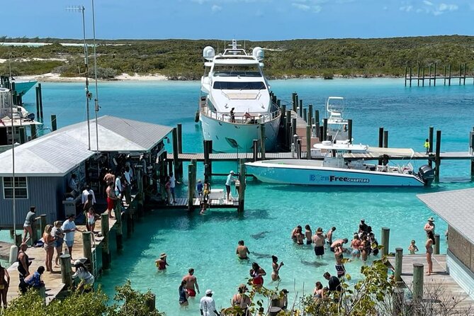 Exuma Island Hopping Swimming Pigs Tour with Lunch from Nassau - Compass Cay nurse sharks: swim with calm, not chaos