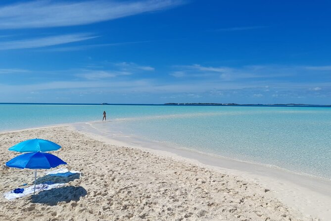 Exuma Island Hopping Swimming Pigs Tour with Lunch from Nassau - Pig Beach on Big Major’s Cay: feeding and swimming pigs