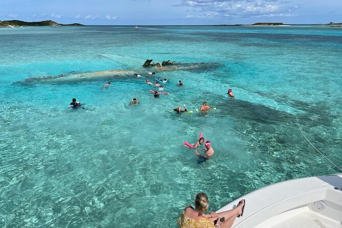 Exuma Island Hopping Swimming Pigs Tour with Lunch from Nassau - Allen Cay rock iguanas: a rare reptile moment