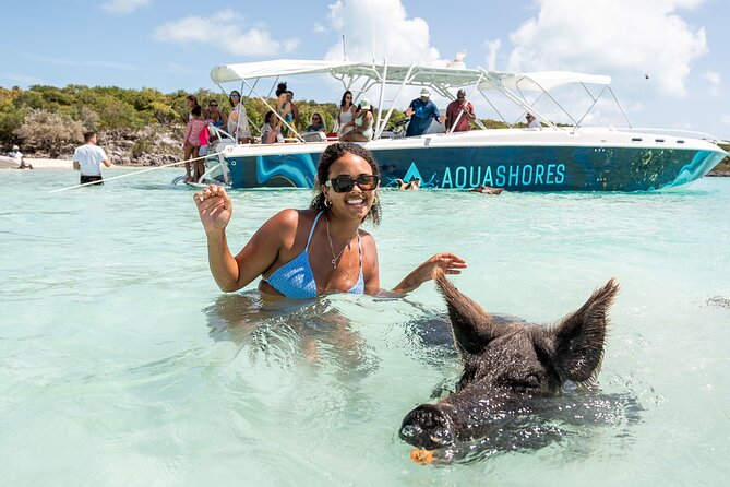 Exuma Powerboat Tour from Nassau with Swimming Pigs - Stop 6: Norman’s Cay and the sunken plane wreck stop