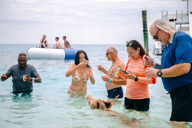 Fast Track Swimming Pigs Encounter - Rose Island encounter: what swimming with pigs feels like in real time