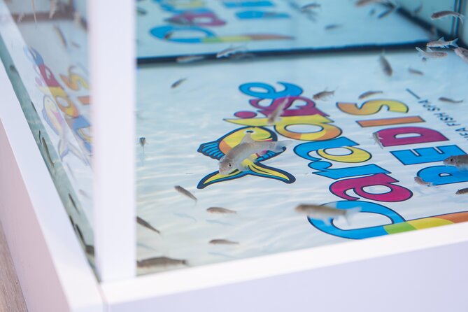 Fish, Fun & Feet - Caribbean’s Largest Fish Spa Experience! - Price and value: Is $65 for about 25 minutes worth it?