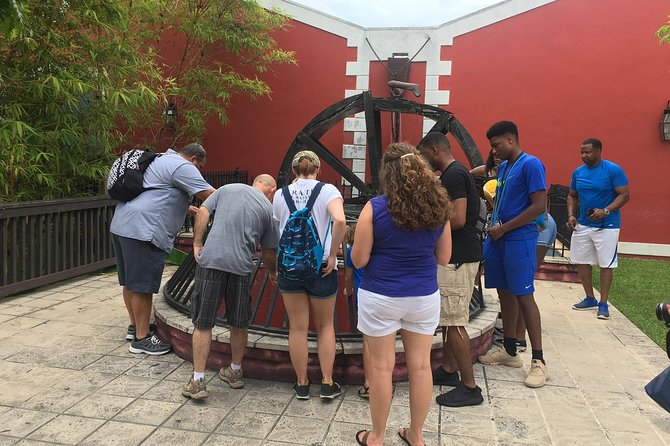 Flavors of Nassau Food Tour - Tasty Teas by Junkanoo Beach: Herbal-Style Sampling With Stories
