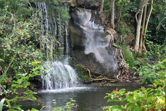 Freeport Shore Excursion: Garden of the Groves and City Tour - Key things to know before you go